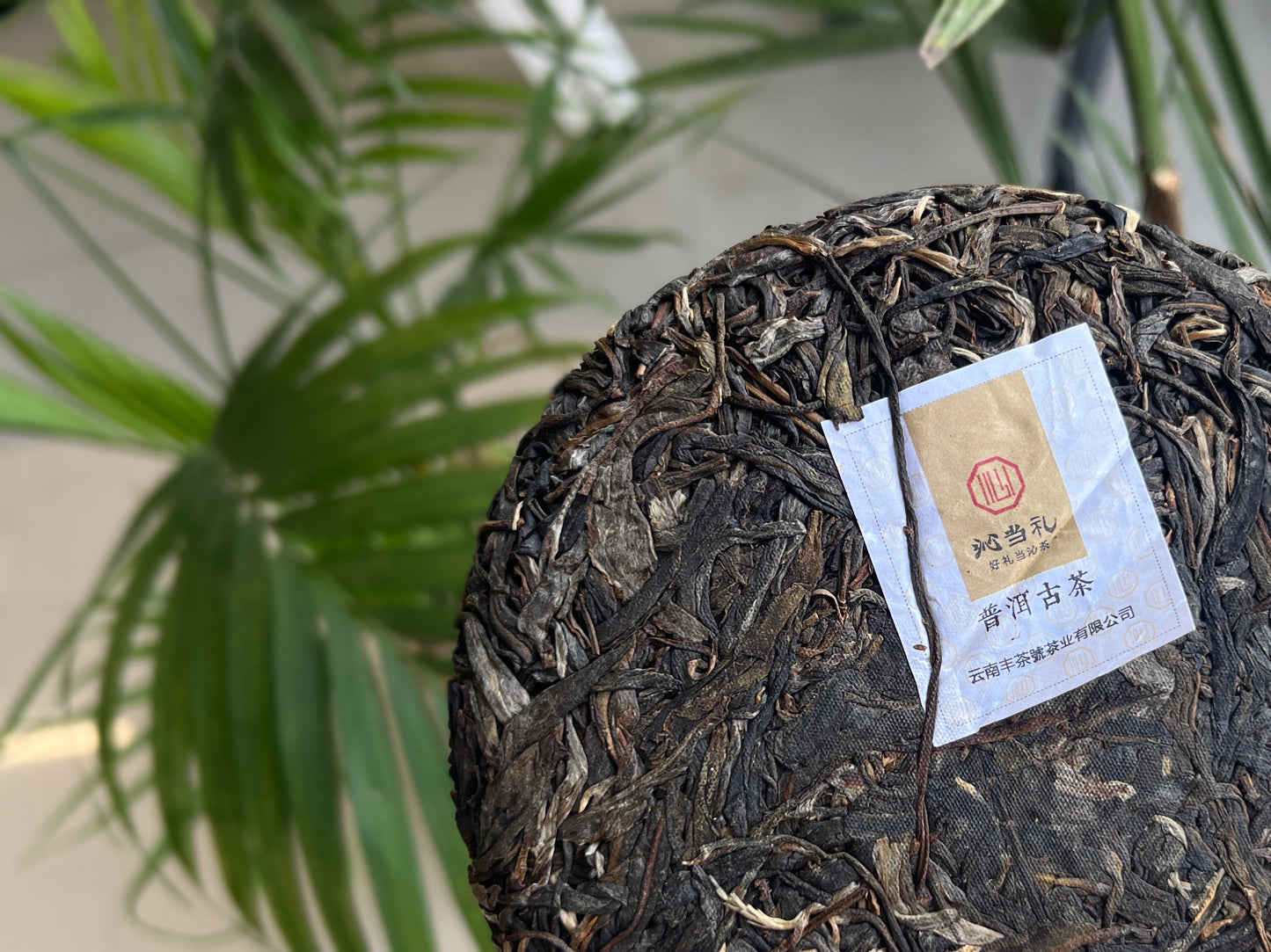 12、冰岛-プーアル茶（生茶）