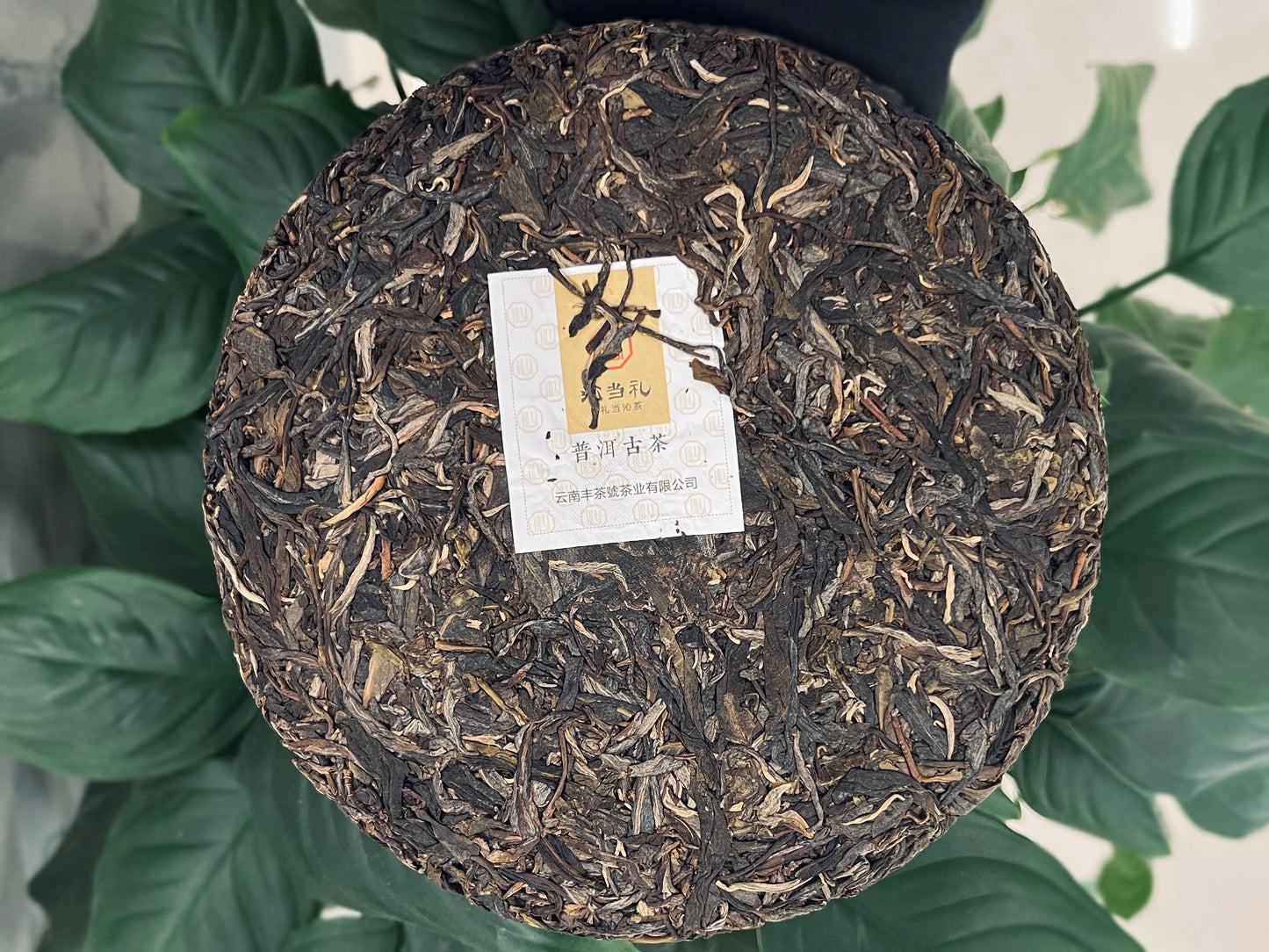 12、冰岛-プーアル茶（生茶）