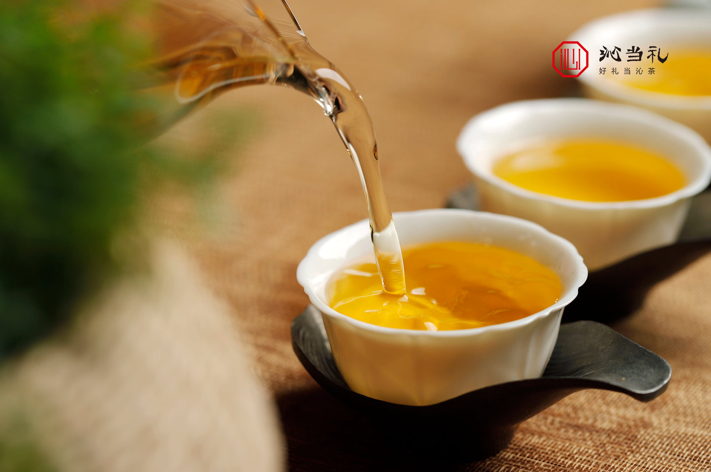 15、知意-プーアル茶（生茶）