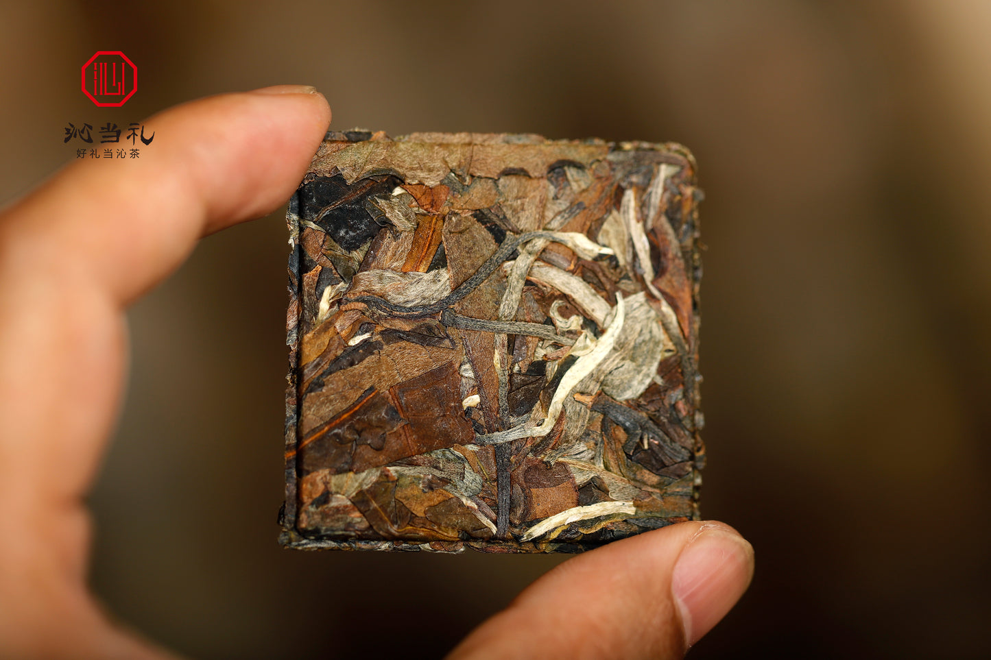 25、老白茶-シロチャ，茶の薄片