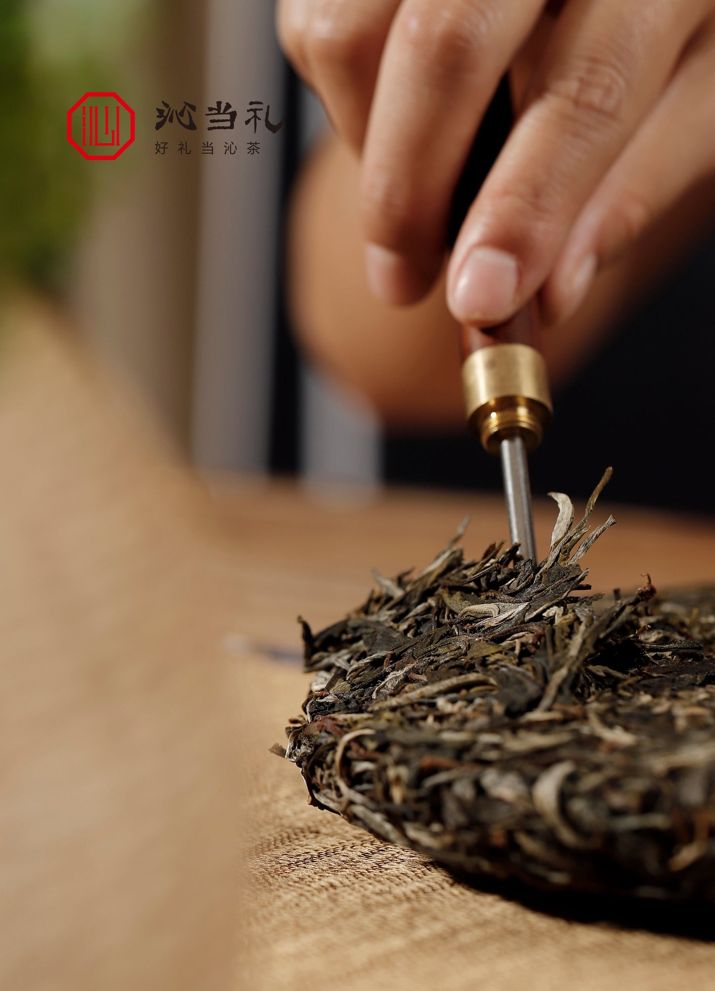 22、清風です-プーアル茶（生茶）